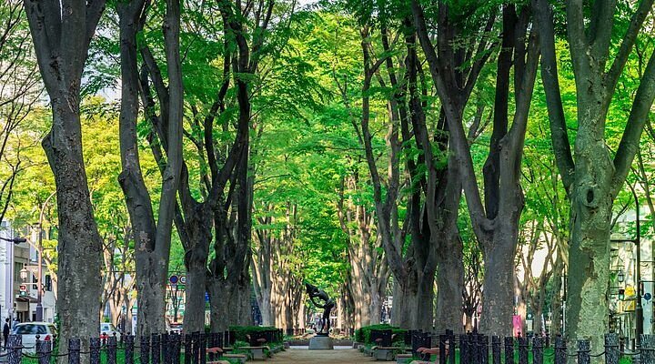 🏞️ 미타키도 교류 공원(미타키도 후레아이 코엔) 이미지 1